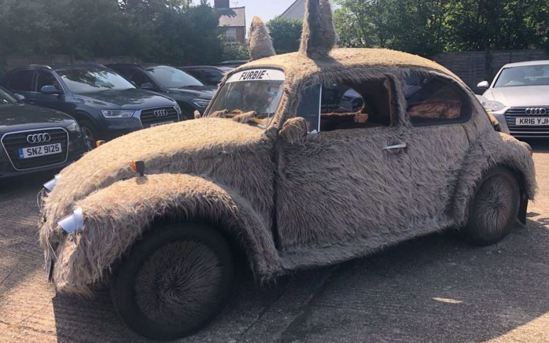 VW Fusca peludo está à venda na Inglaterra