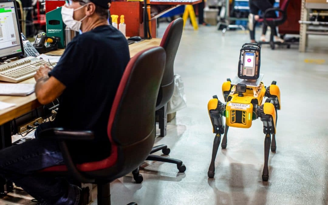 Ford adota cachorros robôs para auxiliar em fábrica