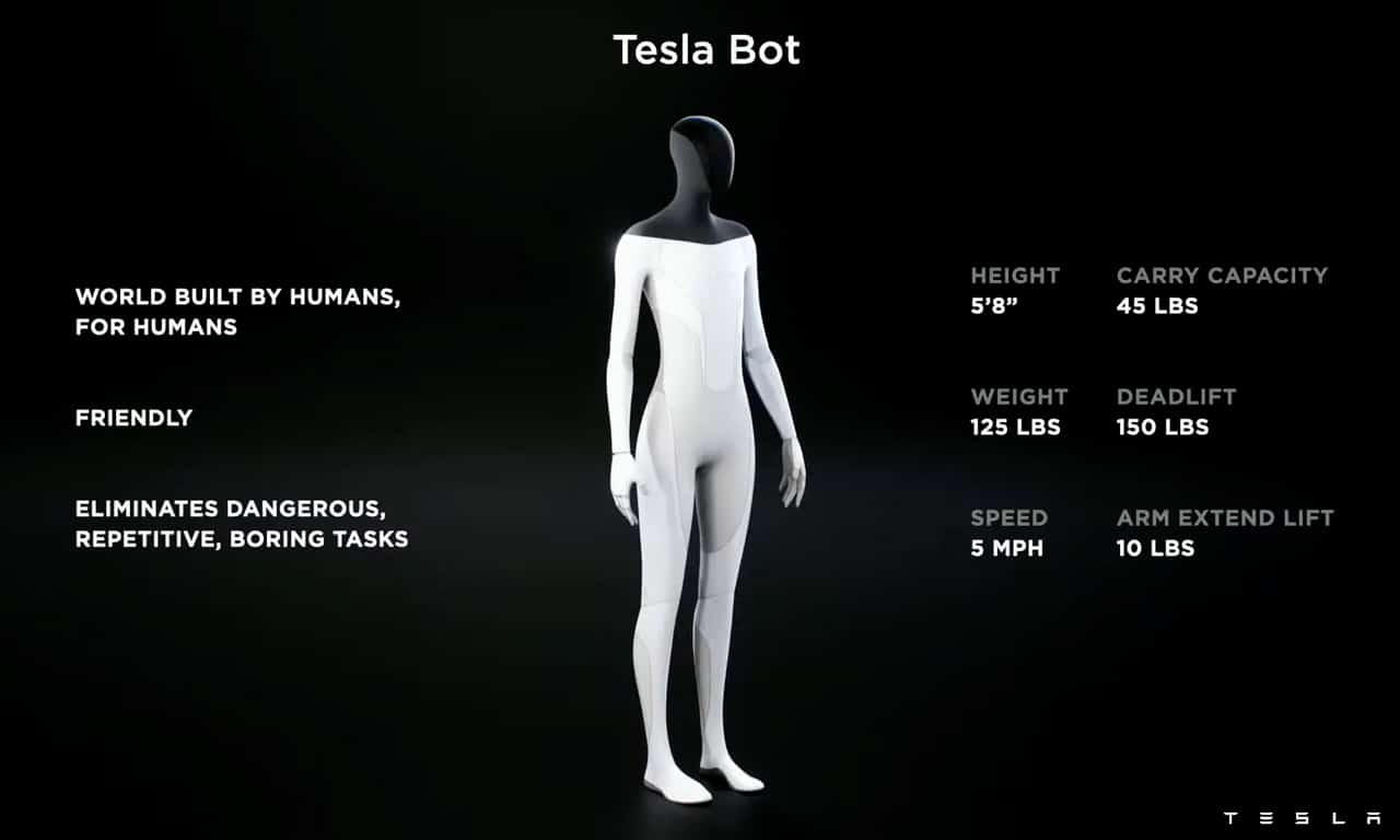 Tesla Bot