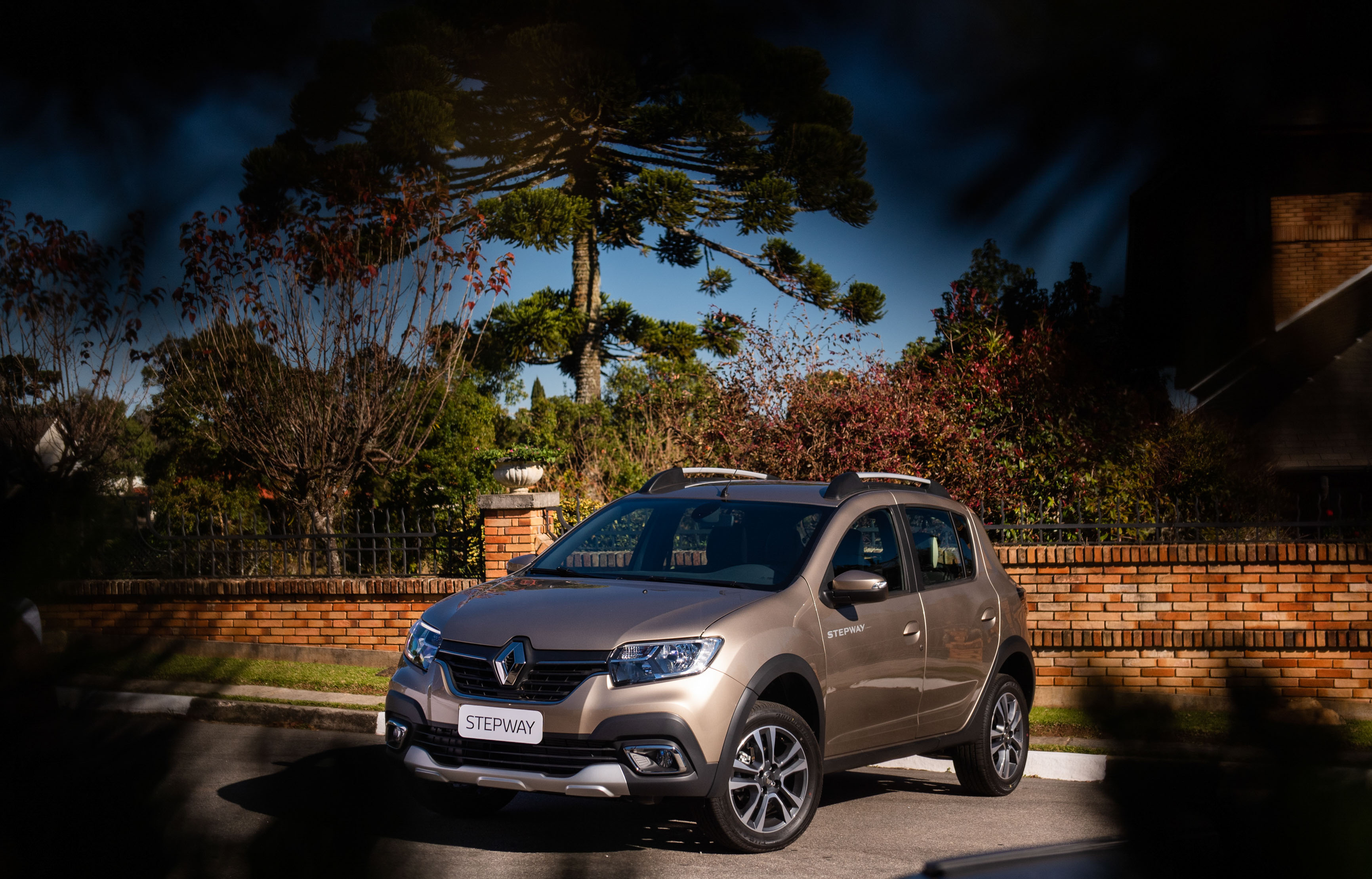 Renault sandero stepway 2020. Renault Sandero Stepway 2021. Рено Сандеро степвей 2019. Renault Sandero Stepway 2019.