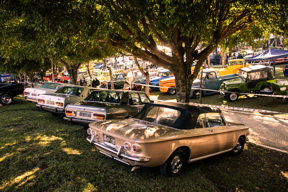 IMG_8676-1152x768.jpeg