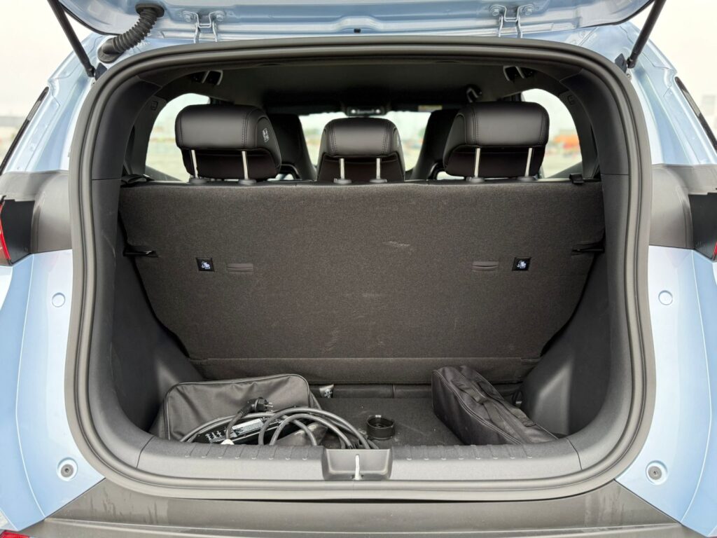 byd-dolphin-mini-7-1024x768.jpeg