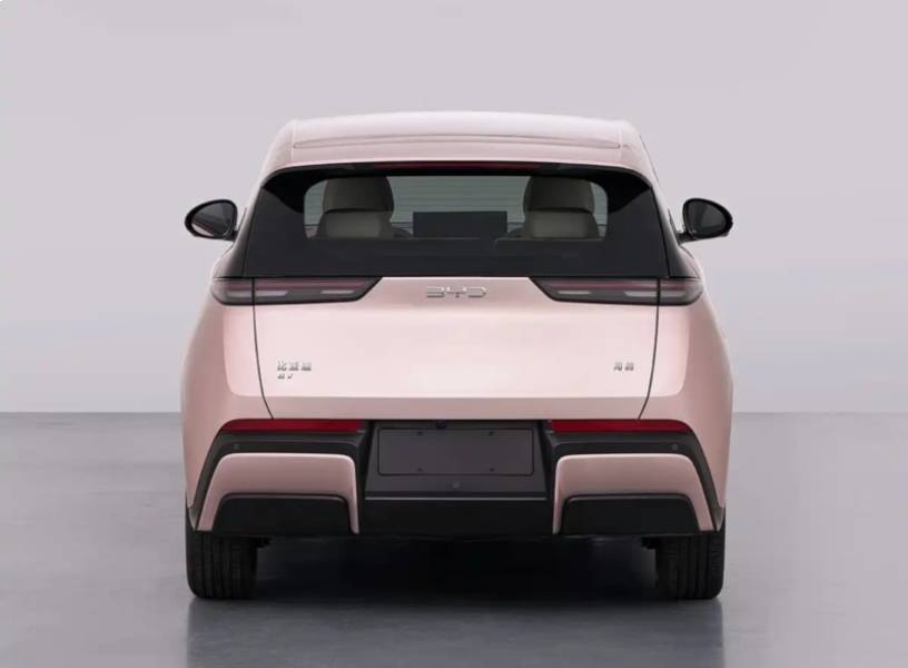 BYD Dolphin Mini reestilizado rosa visto de trás